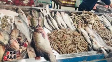 انخفاض 15 جنيهًا.. أسعار الأسماك اليوم في كفر الشيخ ومفاجأة في سعر البلطي 1